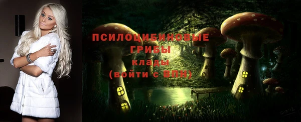 a pvp Белокуриха
