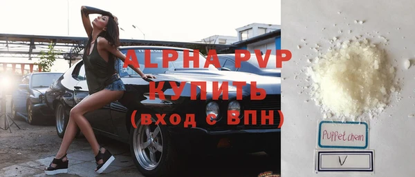индика Белоозёрский