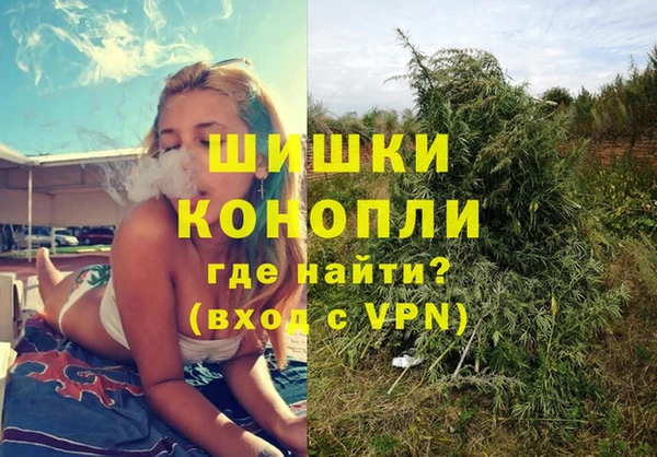 индика Белоозёрский