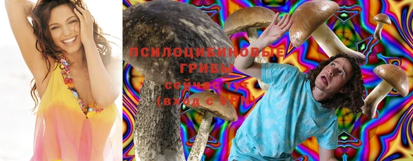 a pvp Белокуриха