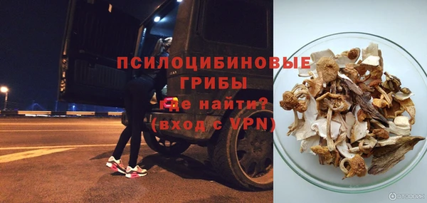 индика Белоозёрский