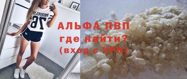 индика Белоозёрский