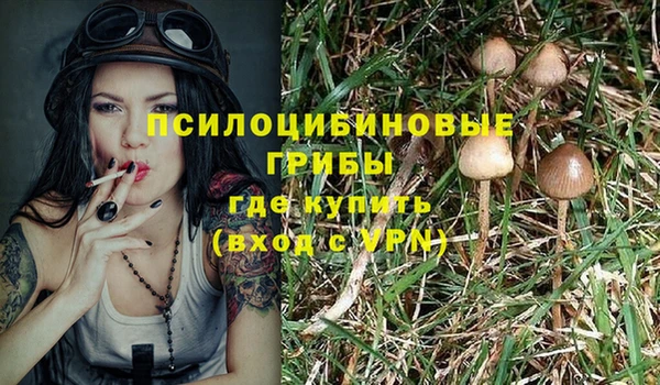 индика Белоозёрский