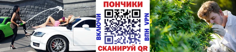Бошки Шишки тримм  даркнет сайт  Вяземский 